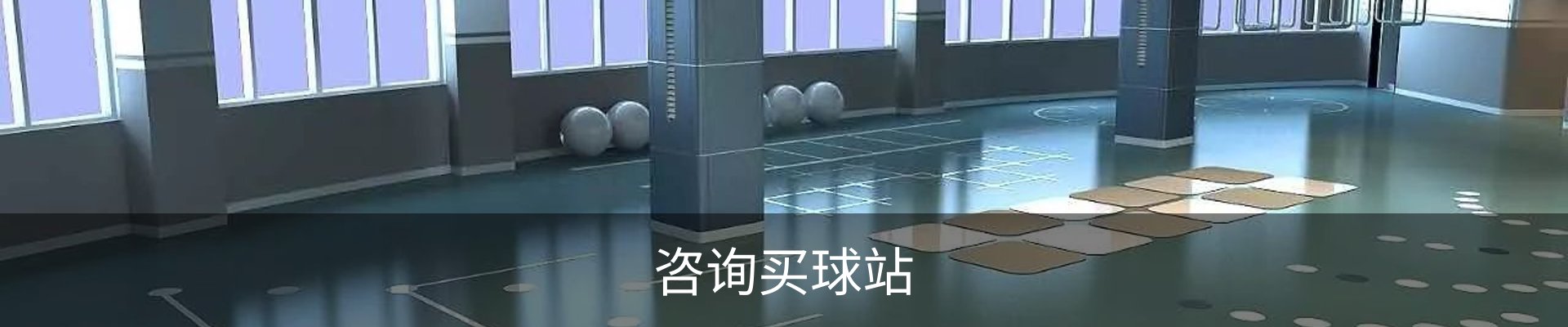 咨询买球站